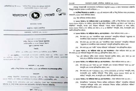 নারী ও শিশু নির্যাতন দমন (সংশোধন) অধ্যাদেশ, ২০২০’ জারি