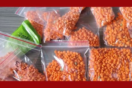 দুই শিশুর পেট থেকে মিলল ৬,৬১৫ পিস ইয়াবা