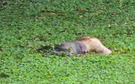 যুবকের মরদেহ মিলল দীঘিতে