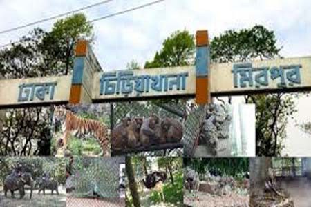 চিড়িয়াখানা খোলার সিদ্ধান্ত