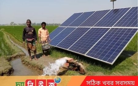 কৃষকের মুখে হাসি
